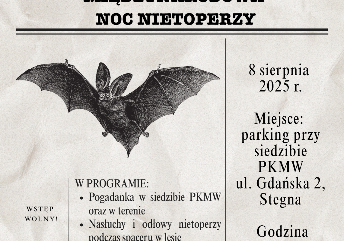 Zapraszamy na Noc Nietoperzy w PKMW Grafika Zapraszamy na Noc Nietoperzy w PKMW