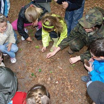 Grafika Wiosenne spotkania z przyrodą