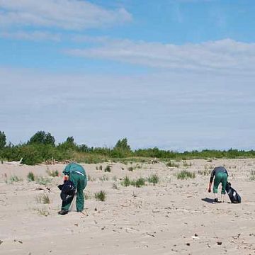 Grafika Sprzątanie plaż Mierzei Wiślanej