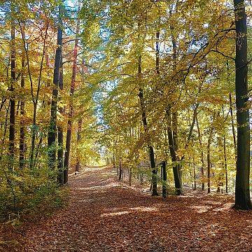 Grafika Zapraszamy do udziału w konkursie - Poznajemy Parki Krajobrazowe Polski