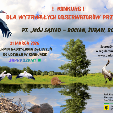 Grafika Uwaga konkurs dla wytrwałych obserwatorów przyrody