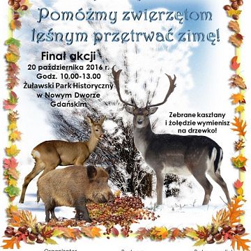 Grafika Pomóżmy zwierzętom przetrwać zimę – Drzewko za kasztany i żołędzie
