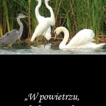 Grafika Album z okazji 25-lecia Parku Krajobrazowego „Mierzeja Wiślana”