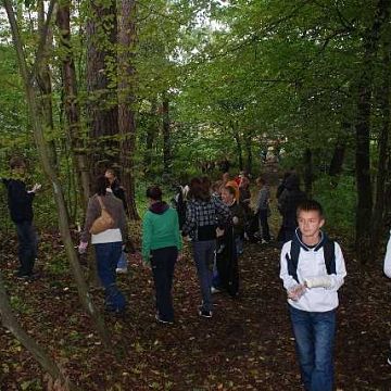 Grafika Sprzątanie Świata