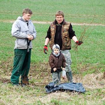 Grafika Zakończenie sadzeń na żuławskich polach