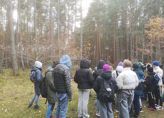 Grafika Relacja z warszatów ornitologicznych w Mikoszewie