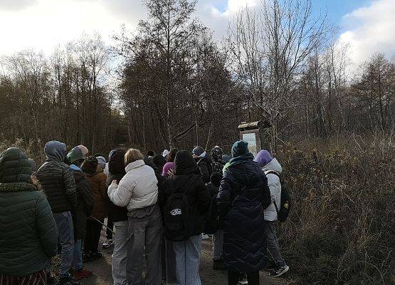 Grafika Relacja z warszatów ornitologicznych w Mikoszewie