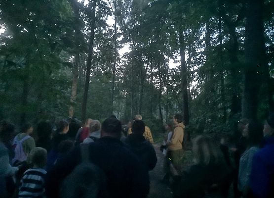 Grafika II Noc nietoperzy na Mierzei Wiślanej