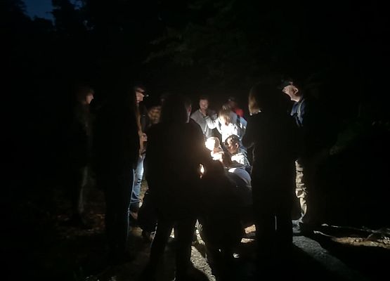 Grafika II Noc nietoperzy na Mierzei Wiślanej