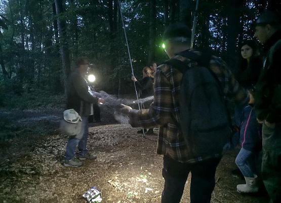 Grafika II Noc nietoperzy na Mierzei Wiślanej