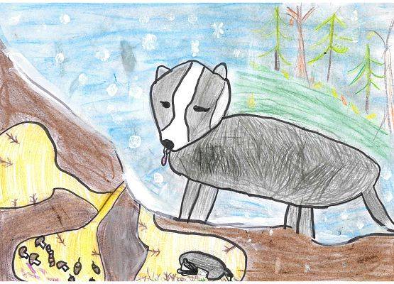 Grafika Wyniki konkursu plastycznego – Jak zwierzęta przygotowują się do zimy?