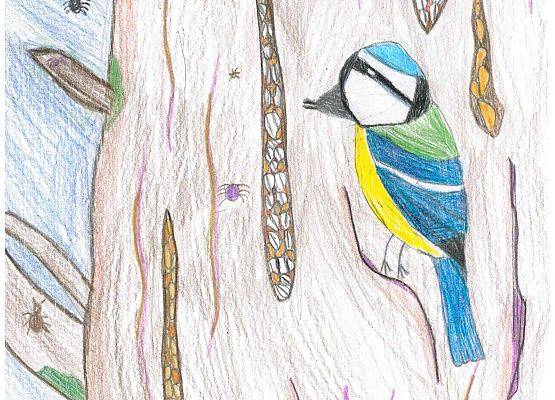 Grafika Wyniki konkursu plastycznego – Jak zwierzęta przygotowują się do zimy?