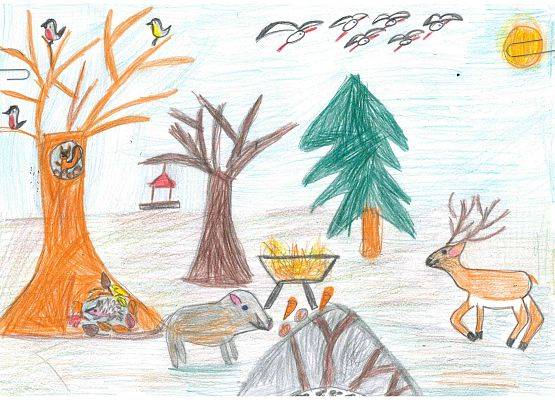 Grafika Wyniki konkursu plastycznego – Jak zwierzęta przygotowują się do zimy?