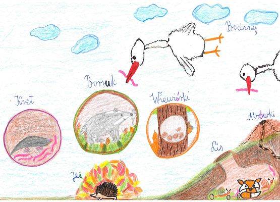 Grafika Wyniki konkursu plastycznego – Jak zwierzęta przygotowują się do zimy?