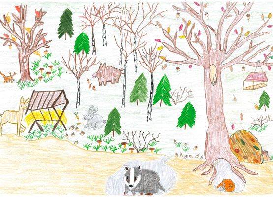 Grafika Wyniki konkursu plastycznego – Jak zwierzęta przygotowują się do zimy?