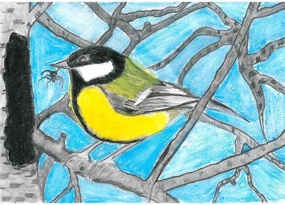 Grafika Wyniki konkursu plastycznego – Jak zwierzęta przygotowują się do zimy?