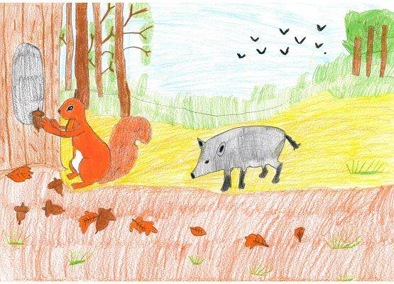 Grafika Wyniki konkursu plastycznego – Jak zwierzęta przygotowują się do zimy?