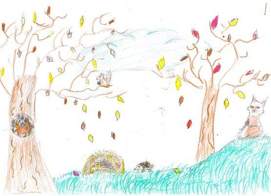 Grafika Wyniki konkursu plastycznego – Jak zwierzęta przygotowują się do zimy?