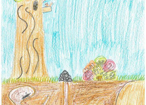 Grafika Wyniki konkursu plastycznego – Jak zwierzęta przygotowują się do zimy?