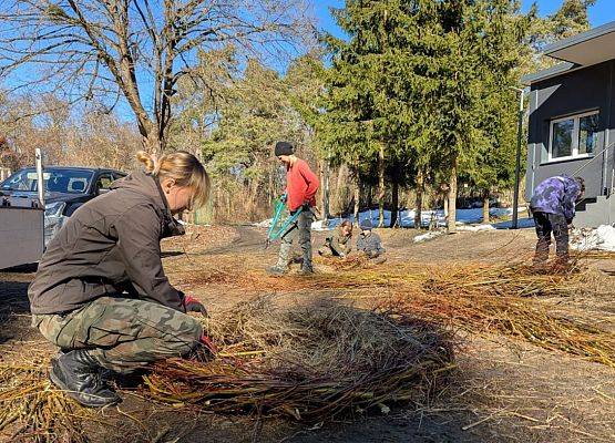 Pracownica Parku wyplatająca gniazdo.