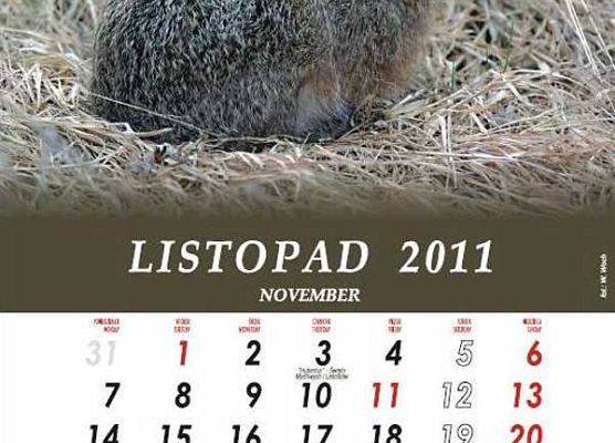 Kolejne wydawnictwo Parku Krajobrazowego „Mierzeja Wiślana” - kalendarz na 2011 rok grafika