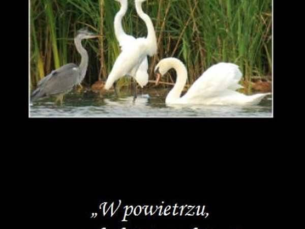 Album z okazji 25-lecia Parku Krajobrazowego „Mierzeja Wiślana” grafika